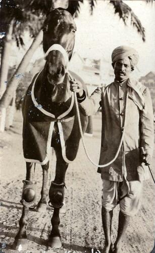 Racehorse (Bombay)